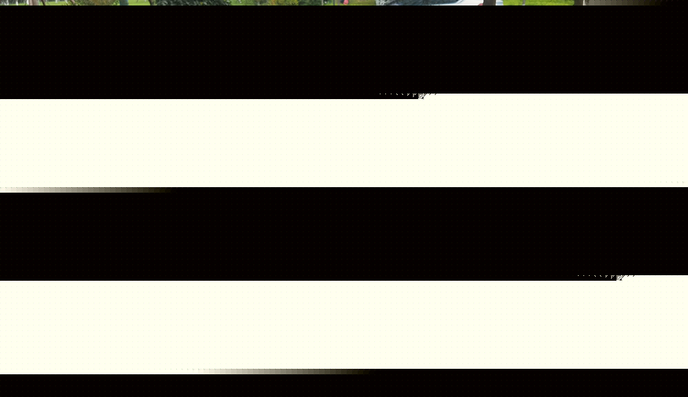 树池格栅 绿环玻璃钢树池格栅——环保与美观并存的城市绿化新选择 第2张 树池格栅 绿环玻璃钢树池格栅——环保与美观并存的城市绿化新选择 第2张