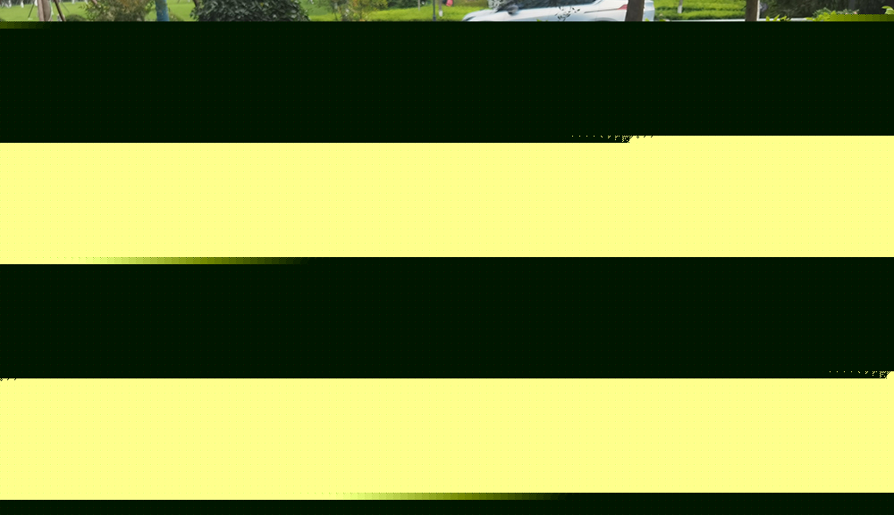 树池格栅板 树池格栅板:城市绿化与排水系统的理想选择 第2张 树池格栅板 树池格栅板:城市绿化与排水系统的理想选择 第2张