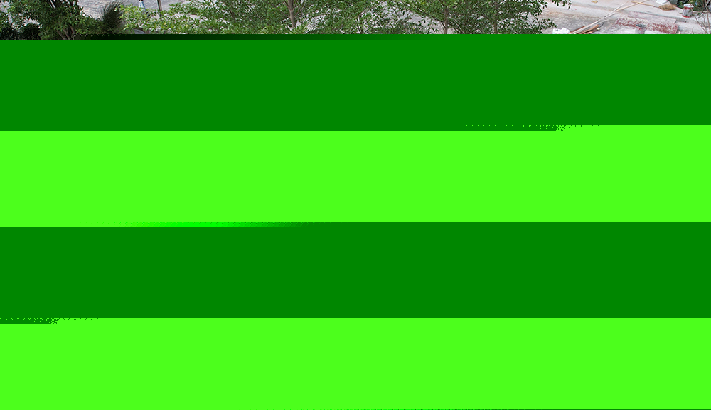 树池篦子 树池篦子:城市绿化与排水系统的重要组成部分 第3张 树池篦子 树池篦子:城市绿化与排水系统的重要组成部分 第3张